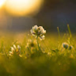 Meet your Posher, Ms.